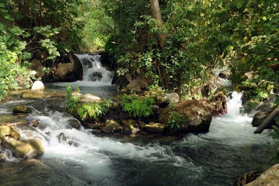Magical In The Galilee Motel Qiryat Shemona Ngoại thất bức ảnh