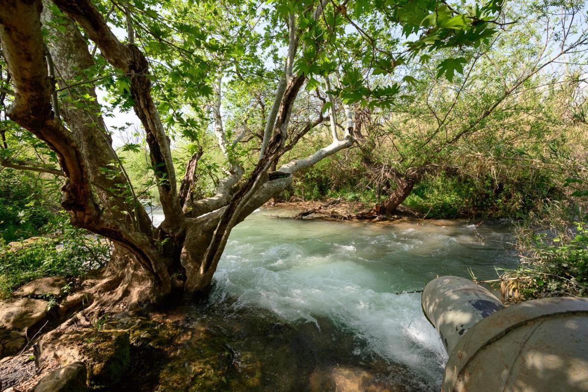 Magical In The Galilee Motel Qiryat Shemona Ngoại thất bức ảnh
